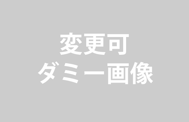 理由その2 テキストテキスト